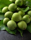 Walnuts in green husks, close up Royalty Free Stock Photo