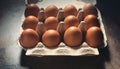 Carton of fresh brown eggs Royalty Free Stock Photo