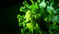 Close-up view of a glowing green virus molecule Royalty Free Stock Photo