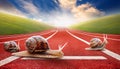 Snails on the athletic track moves the finish line Royalty Free Stock Photo