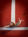 Snails on the athletic track moves the finish line Royalty Free Stock Photo