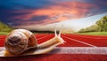 Snails on the athletic track moves the finish line Royalty Free Stock Photo