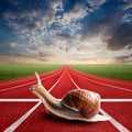 Snails on the athletic track moves the finish line Royalty Free Stock Photo
