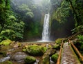Ngardmau Waterfall â A Hidden Jungle Oasis Royalty Free Stock Photo
