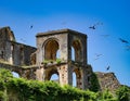 Sans-Souci Palace â Grand Haitian Ruins Royalty Free Stock Photo