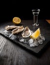 Oysters served on stone plate with ice drift and lemon Royalty Free Stock Photo
