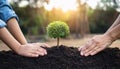 Child and parent hand planting young tree on black soil together as save world concept Royalty Free Stock Photo
