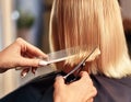 Hairdresser cut blond hair of a woman. Close-up. Royalty Free Stock Photo