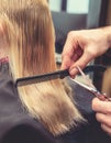 Hairdresser cut blond hair of a woman. Close-up. Royalty Free Stock Photo