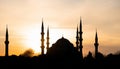 A silhoutte from Istanbul. A mosque silhouette from Istanbul Royalty Free Stock Photo