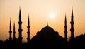 A silhoutte from Istanbul. A mosque silhouette from Istanbul Royalty Free Stock Photo