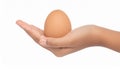 Female teen hand holding egg, isolated on white Royalty Free Stock Photo