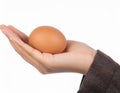 Female teen hand holding egg, isolated on white Royalty Free Stock Photo