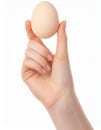 Female teen hand holding egg, isolated on white Royalty Free Stock Photo