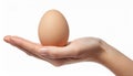 Female teen hand holding egg, isolated on white Royalty Free Stock Photo