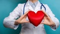 Doctor holding heart. Female doctor with the stethoscope holding heart Royalty Free Stock Photo
