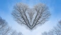 Winter landscape,branches form a heart-shaped pattern Royalty Free Stock Photo