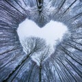 Winter landscape,branches form a heart-shaped pattern Royalty Free Stock Photo