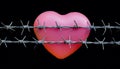 Heart in Barbed Wire on Black. A plastic heart wrapped in barbed wire fence. Valentines day Royalty Free Stock Photo