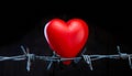 Heart in Barbed Wire on Black. A plastic heart wrapped in barbed wire fence. Valentines day Royalty Free Stock Photo