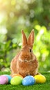 Adorable Easter bunny and colorful eggs on green grass in garden Royalty Free Stock Photo