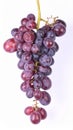 Grape on the with isolated background Royalty Free Stock Photo