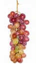 Grape on the with isolated background Royalty Free Stock Photo
