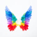 Infinity with rainbow butterfly on black background. Multicolor, bright, symbol of infinity Royalty Free Stock Photo
