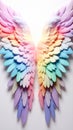 Infinity with rainbow butterfly on black background. Multicolor, bright, symbol of infinity Royalty Free Stock Photo