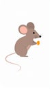Pet Mouse Rodent Animal. A brown pet mouse eating a raisin isolated on white Royalty Free Stock Photo