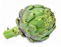 Artichoke on the with isolated background Royalty Free Stock Photo