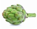 Artichoke on the with isolated background Royalty Free Stock Photo