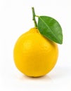 Lemon on the with isolated background Royalty Free Stock Photo