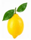 Lemon on the with isolated background Royalty Free Stock Photo