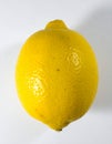 Lemon on the with isolated background Royalty Free Stock Photo