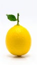 Lemon on the with isolated background Royalty Free Stock Photo