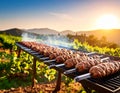Rows of juicy beef kebab koobideh on grill Royalty Free Stock Photo