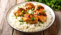 Traditional Turkish chicken on a rice (tavuklu pilav). Traditional Turkish chicken Royalty Free Stock Photo