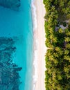 Aerial view of a pristine beach, with turquoise waters and lush palm trees, showcasin Royalty Free Stock Photo