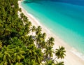 Aerial view of a pristine beach, with turquoise waters and lush palm trees, showcasin Royalty Free Stock Photo