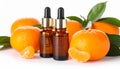 Aromatic tangerine essential oil in bottle, pipette and citrus fruits isolated on white Royalty Free Stock Photo