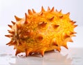 Kiwano fruit , also known as horned melon Royalty Free Stock Photo