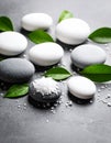 Spa stones, sea salt and leaves on grey table Royalty Free Stock Photo
