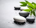 Spa stones, sea salt and leaves on grey table Royalty Free Stock Photo