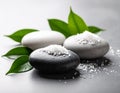 Spa stones, sea salt and leaves on grey table Royalty Free Stock Photo