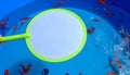 Blank Kingyo-Sukui Scoop over a Pool of Goldfish Royalty Free Stock Photo