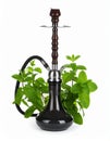 Dark traditional hookah and mint isolated on white Royalty Free Stock Photo