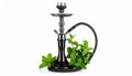 Dark traditional hookah and mint isolated on white Royalty Free Stock Photo