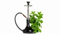 Dark traditional hookah and mint isolated on white Royalty Free Stock Photo