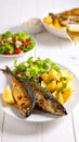 Homemade seafood dinner. Delicious fried mackerel served with potatoes and salad. Royalty Free Stock Photo